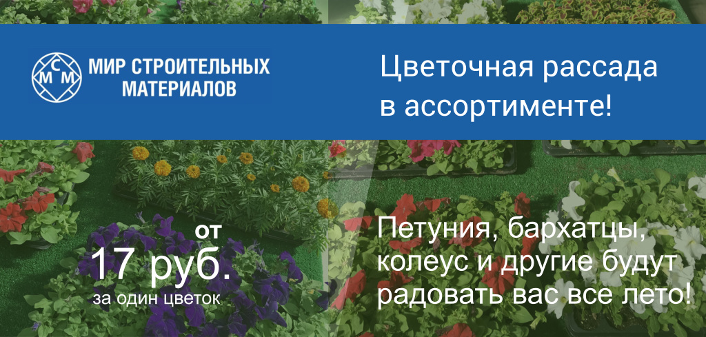 Встречайте цветочную рассаду в ассортименте!
